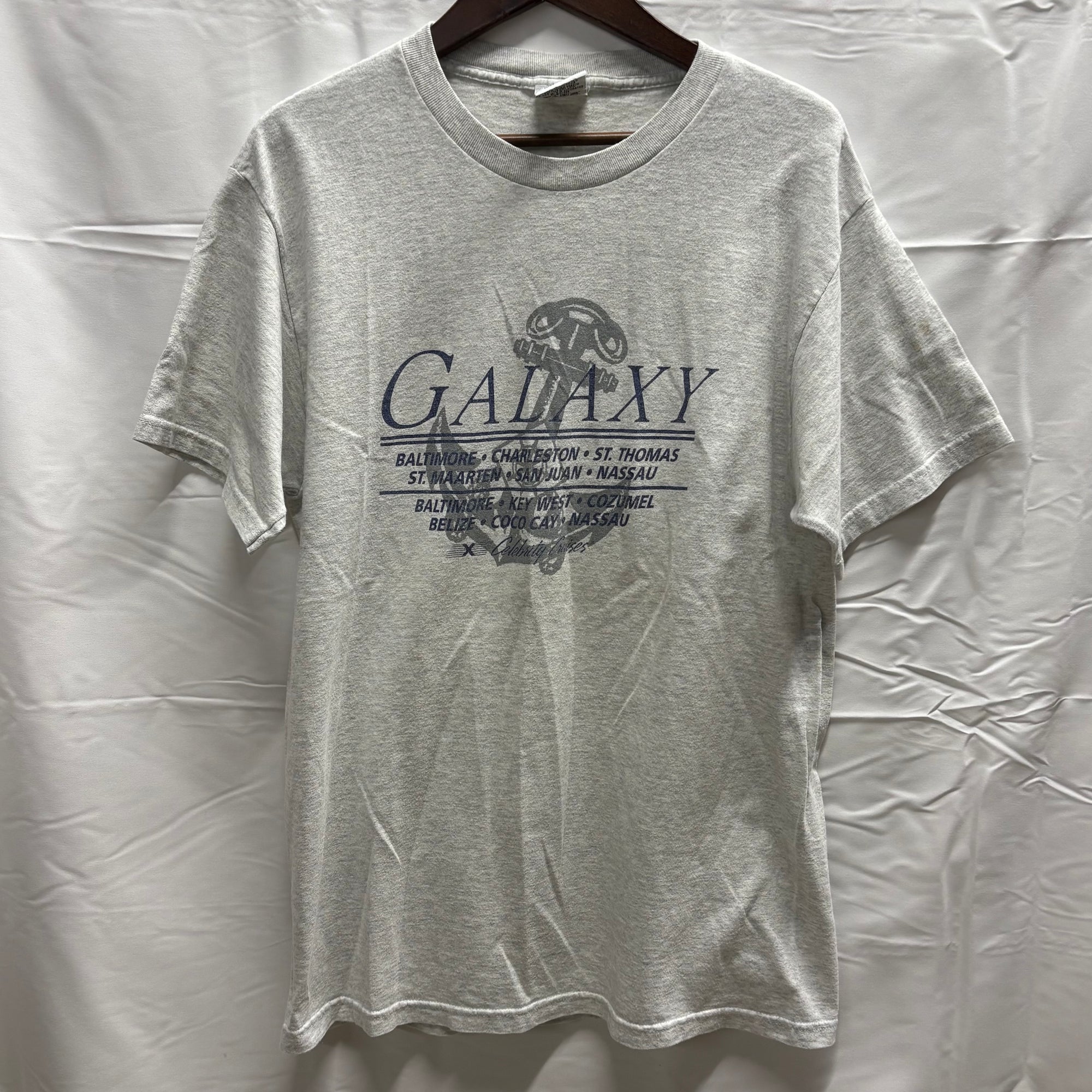 【古着】Dynasty プリント S/S カットソー グレー Lサイズ
