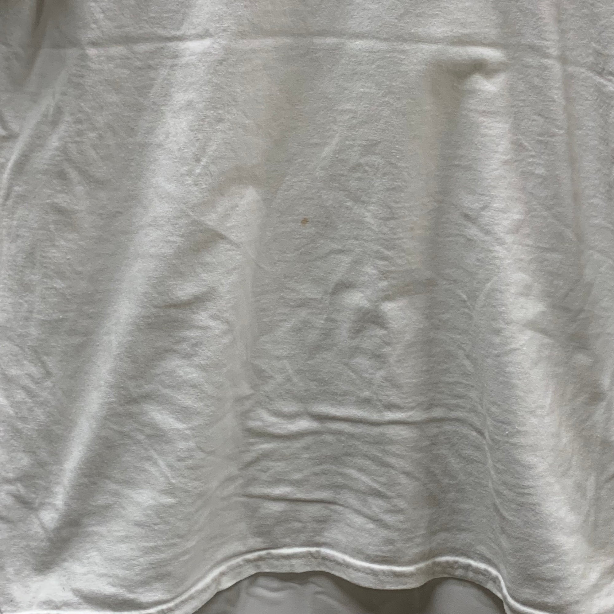 【中古】【古着】GILDAN プリント Tシャツ ホワイト Lサイズ