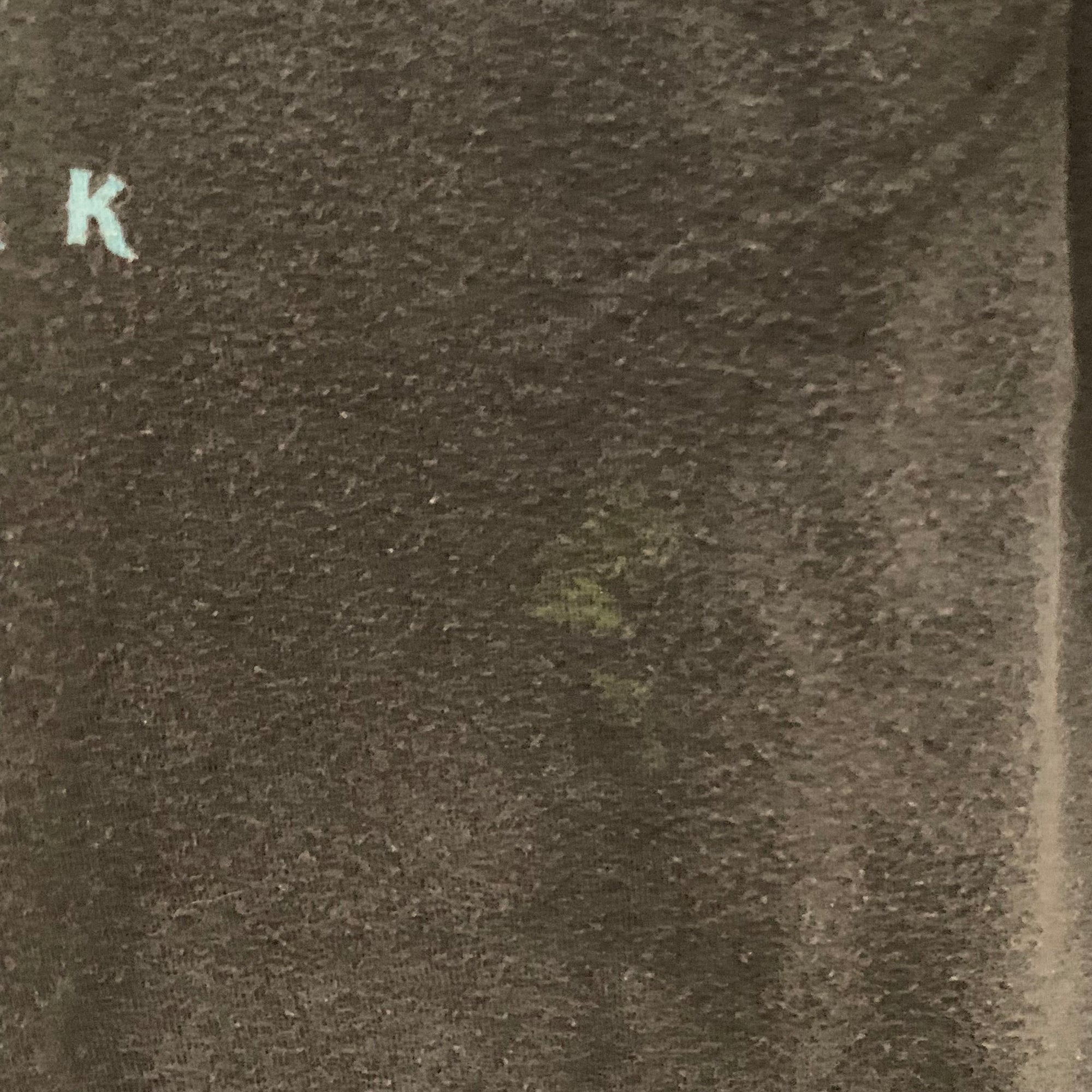 【中古】【古着】The Duck co プリント Tシャツ ブラック×ブルー Lサイズ