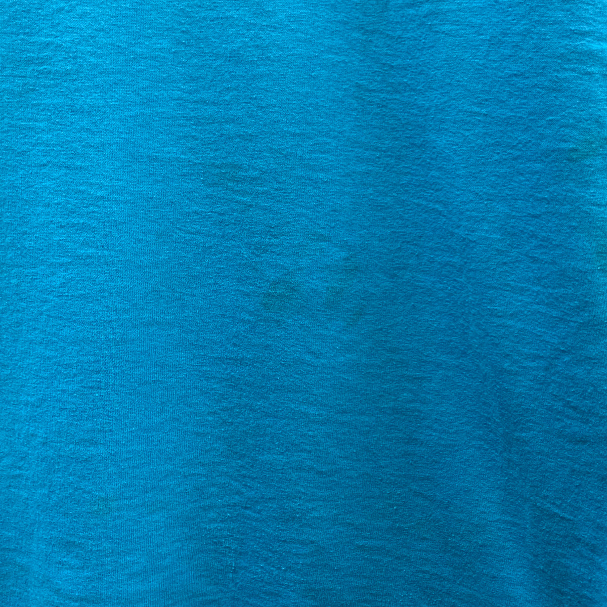 【古着】 プリント Tシャツ ターコイズ