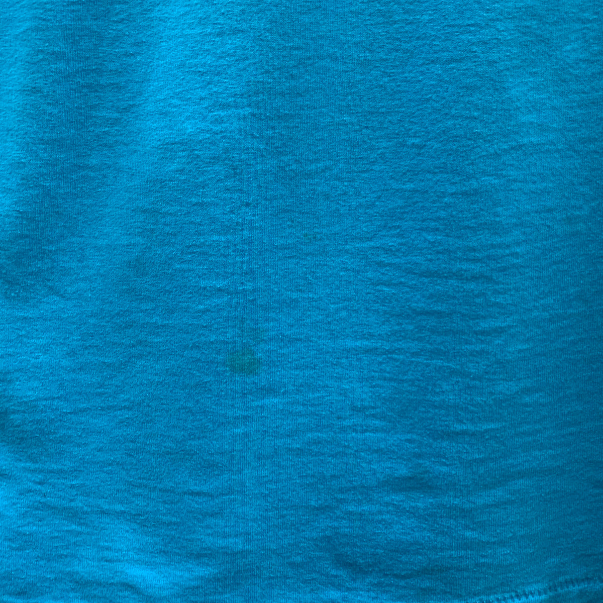 【古着】 プリント Tシャツ ターコイズ